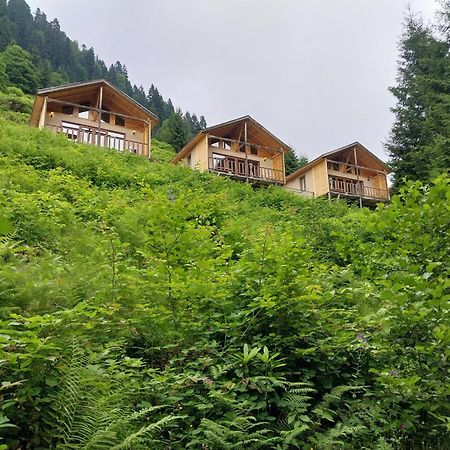 Ayder Cise Dag Evleri Exterior foto