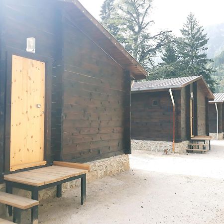 Ayder Cise Dag Evleri Exterior foto