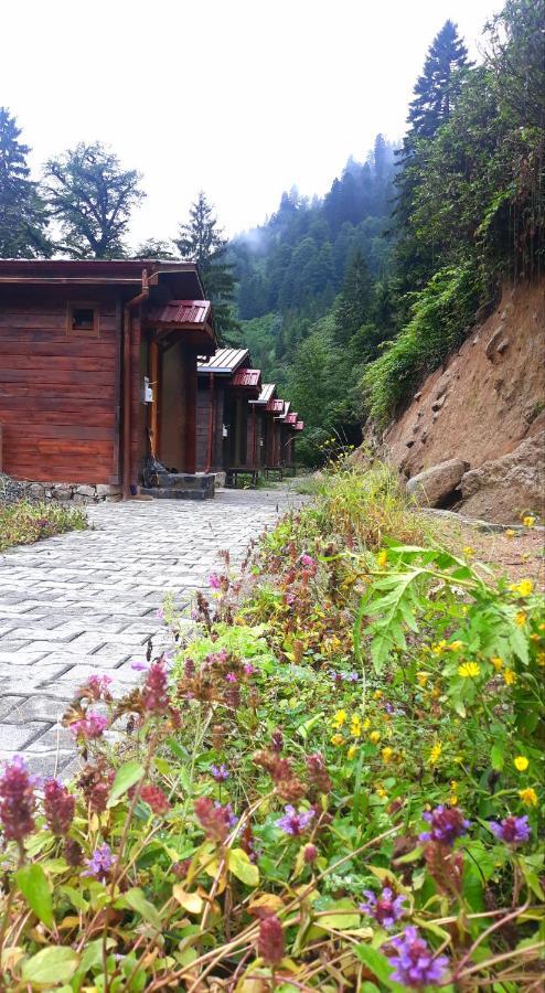 Ayder Cise Dag Evleri Exterior foto