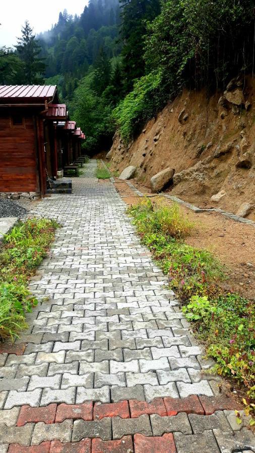 Ayder Cise Dag Evleri Exterior foto