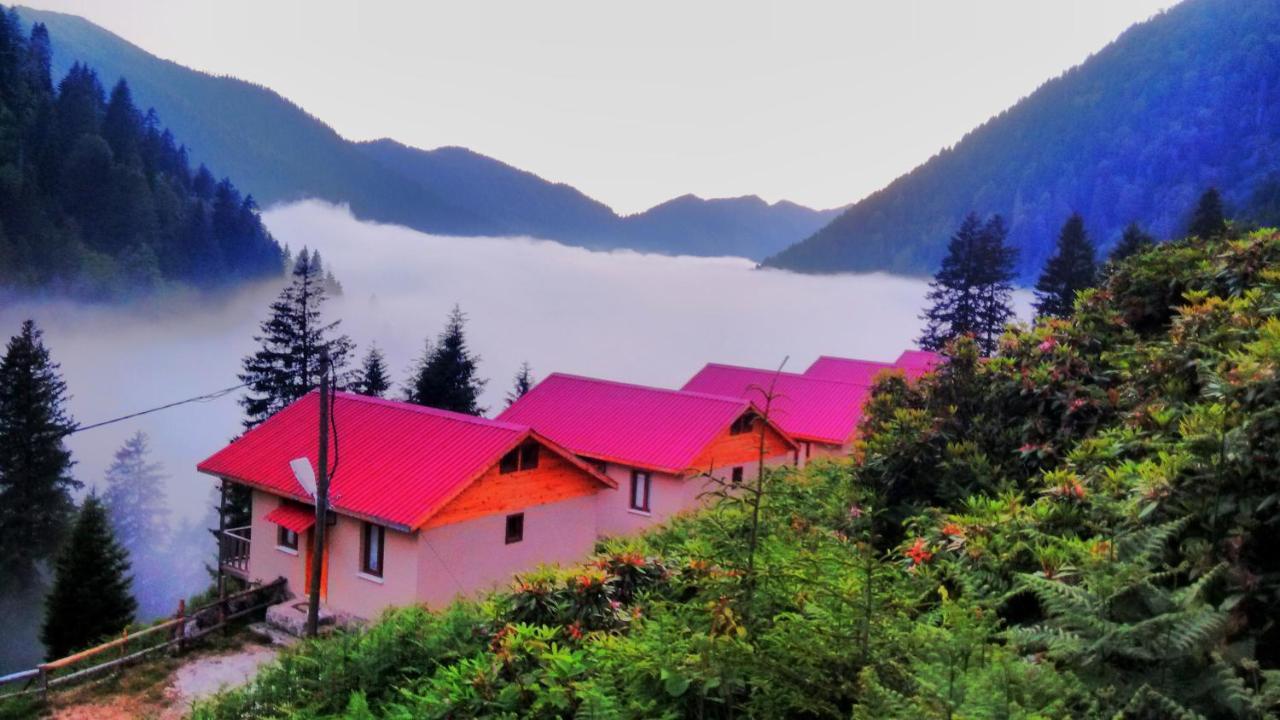 Ayder Cise Dag Evleri Exterior foto