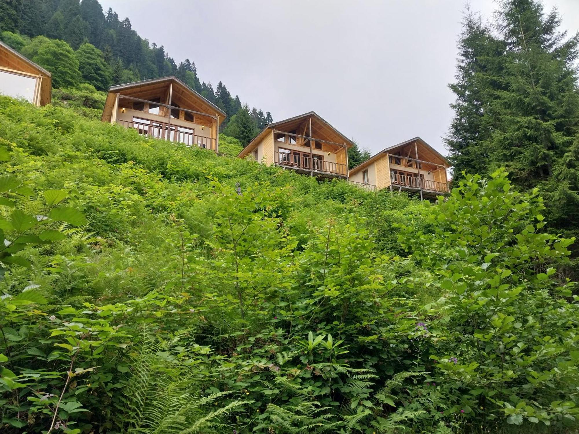 Ayder Cise Dag Evleri Exterior foto
